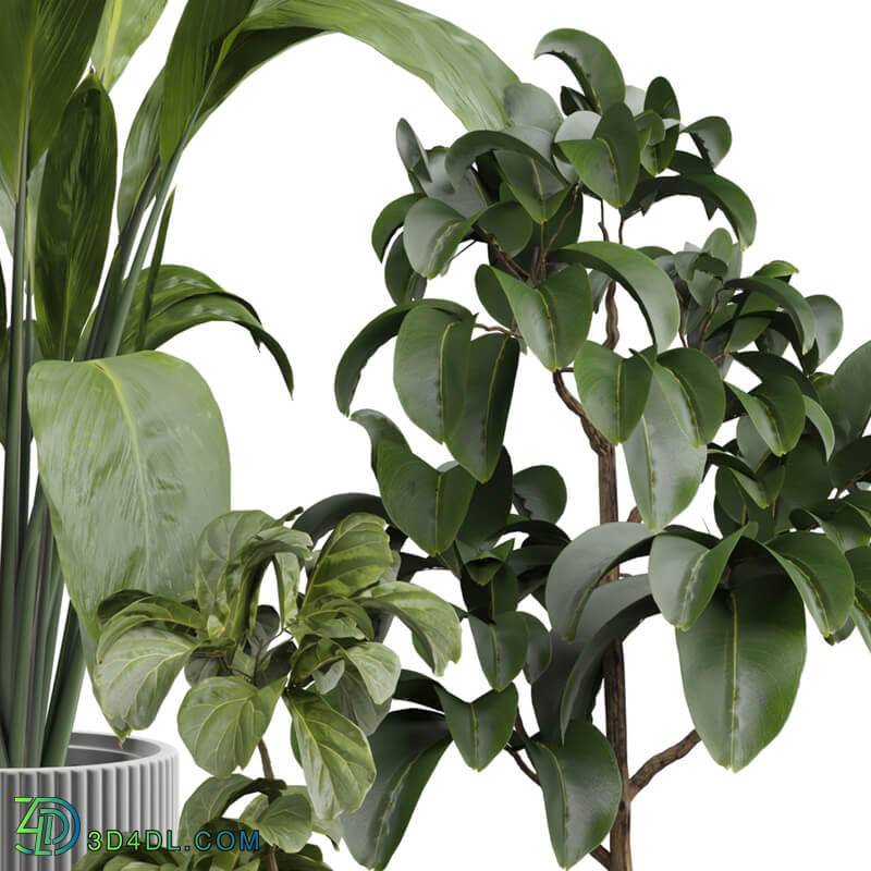 indoor Plant 399