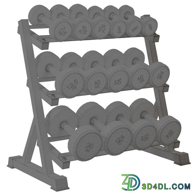 Bonnlo Dumbbell Rack