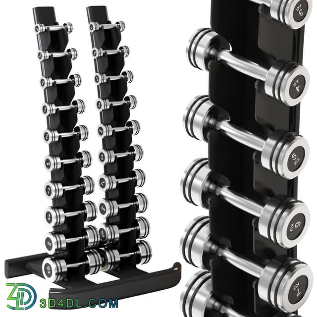 RapidMotion_Harden_Chrome_Dumbbells_rack