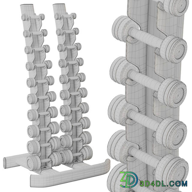 RapidMotion_Harden_Chrome_Dumbbells_rack