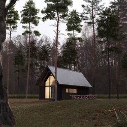 forest atmospher vray6 محیط سازی جنگلی با ویری 6